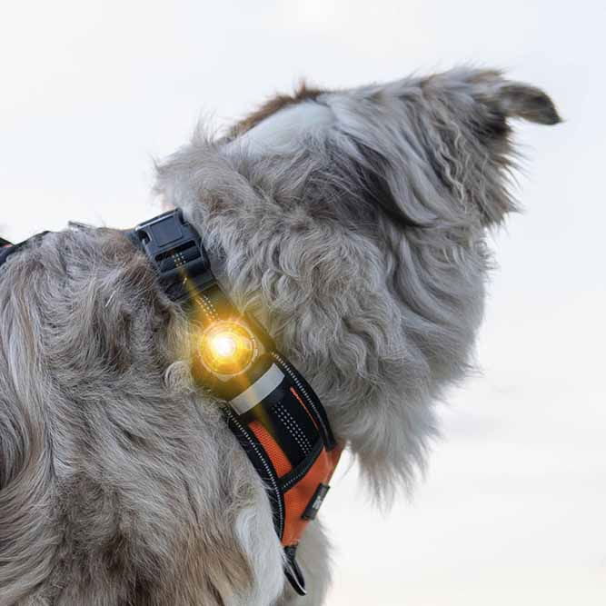 Orbiloc Dual Safety light