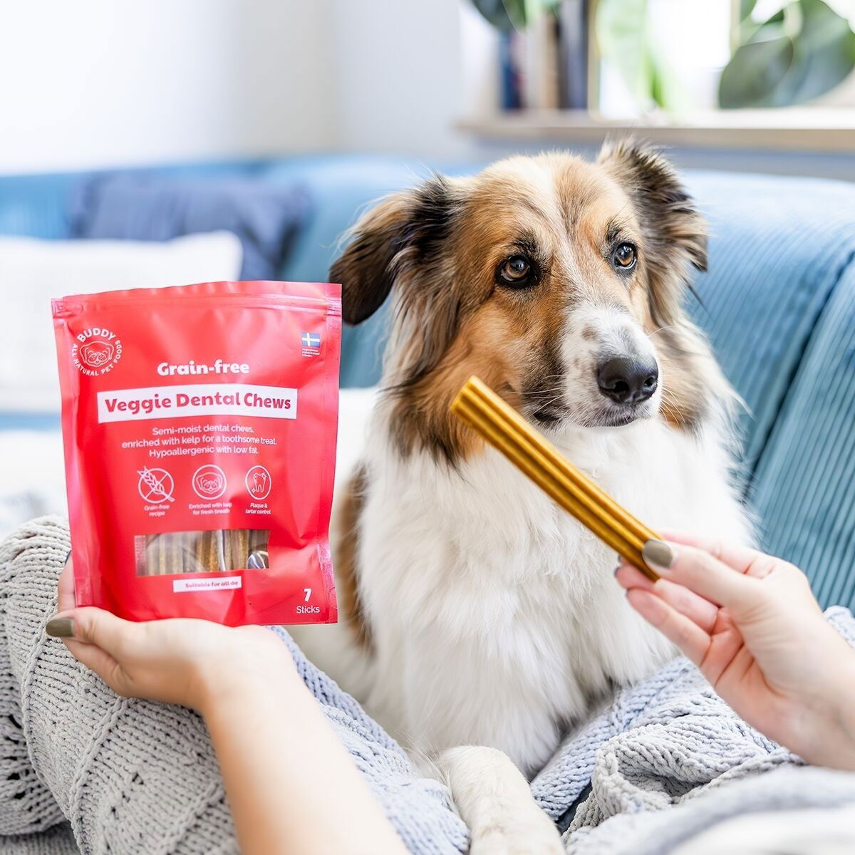 Buddy GF Veggie Dental Chew M