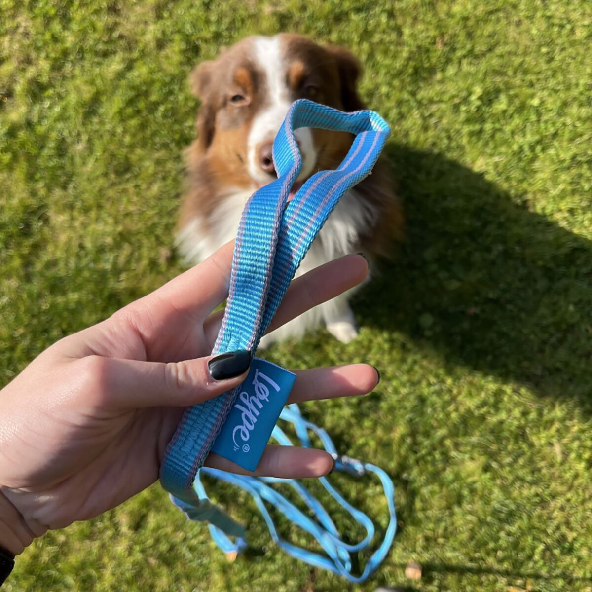 Loype Saxana Tracking Line