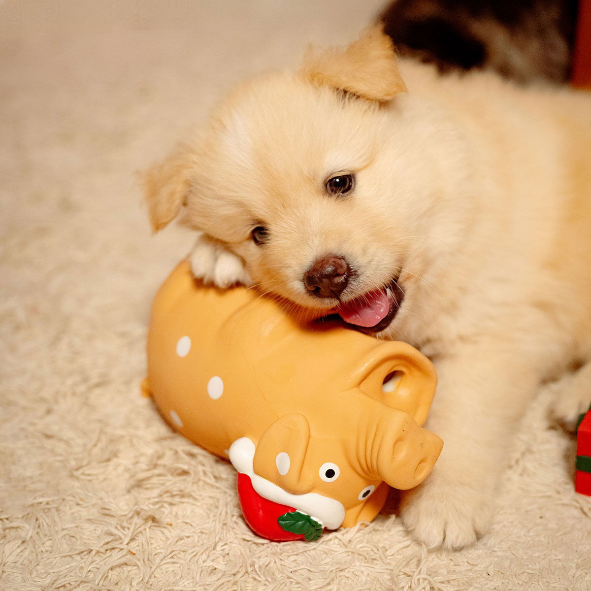 Little&Bigger SeasonsClassics Latex iso joulupossu