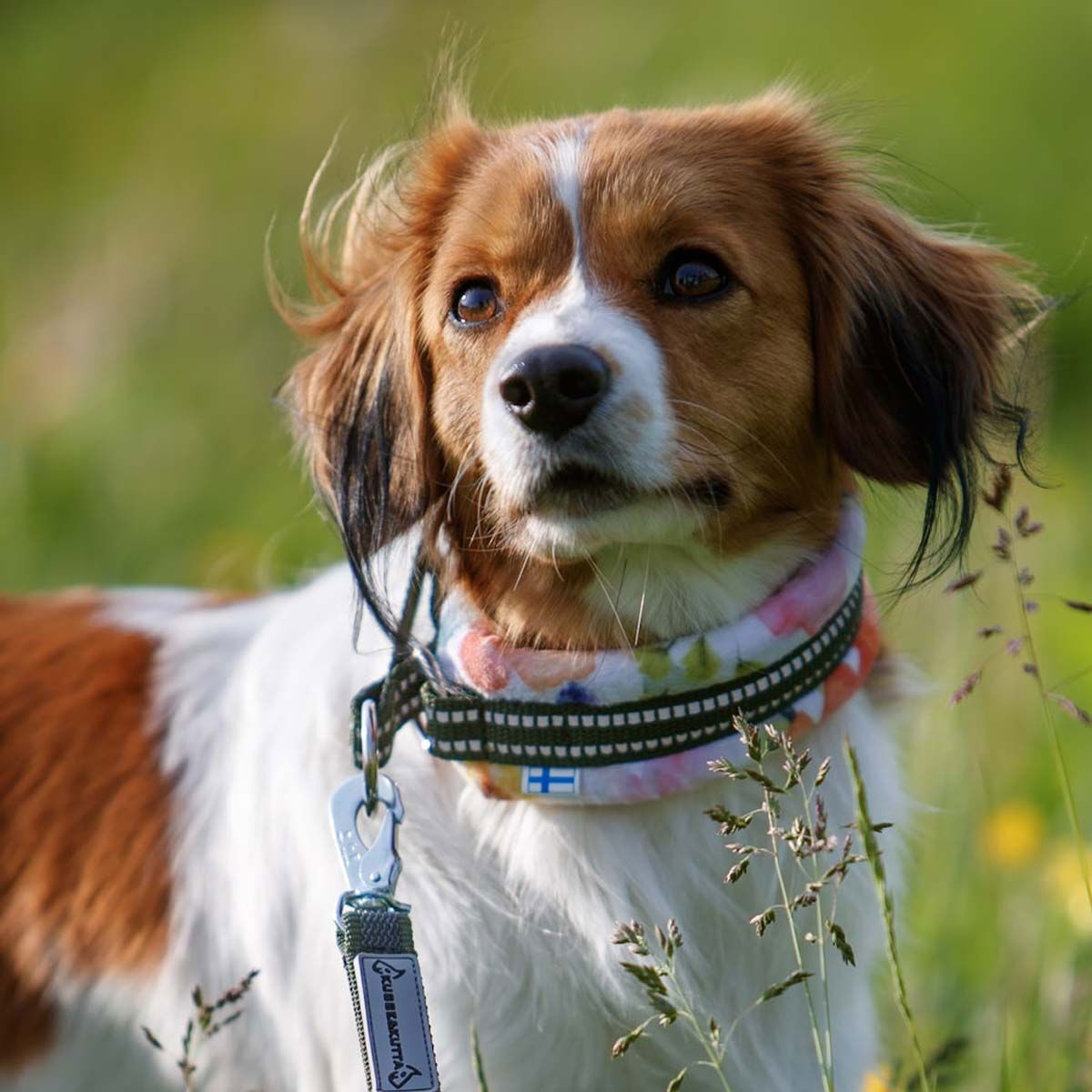 Kusse & Kutta half choke collar, garden flowers