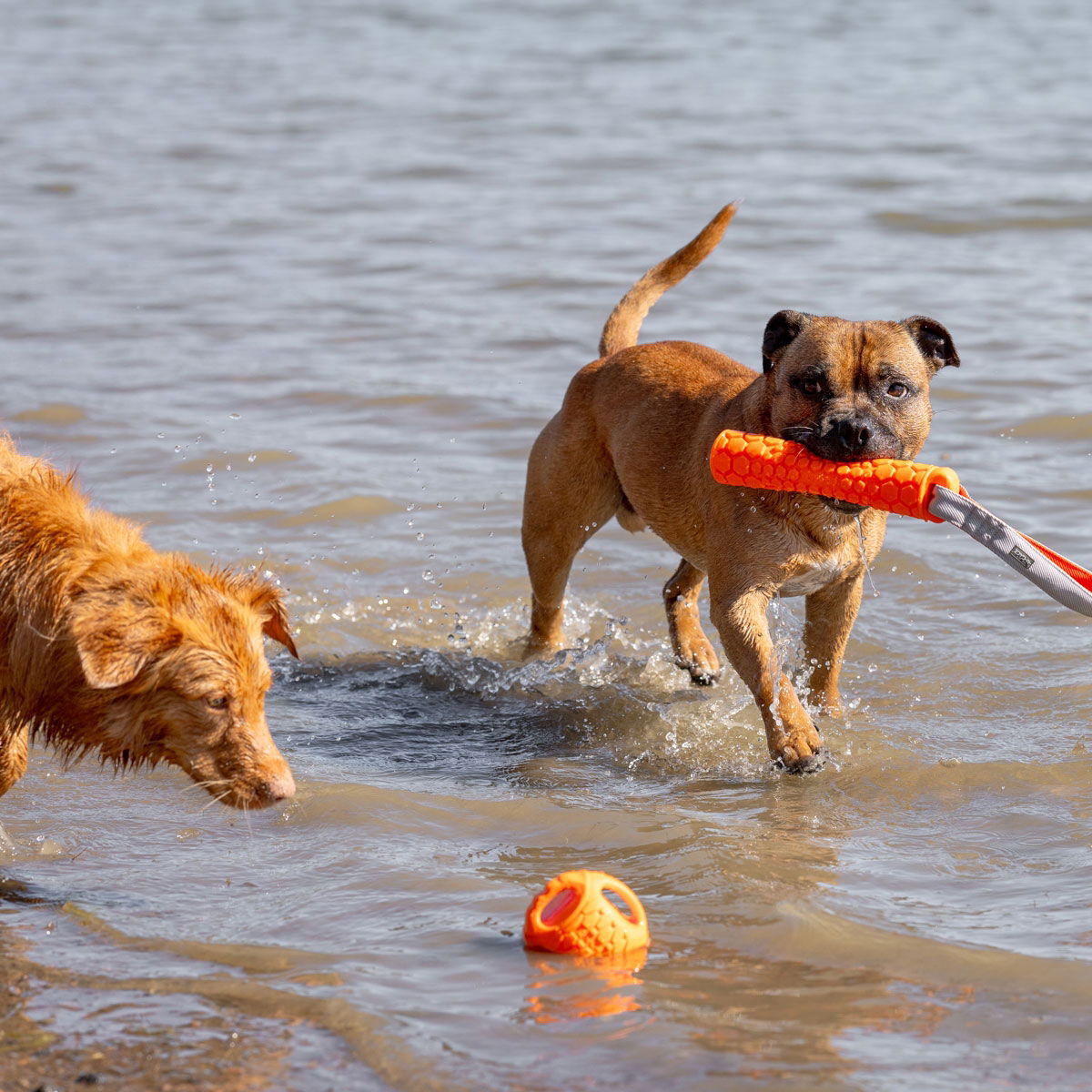 N-Gage Bumper patukka oranssi M