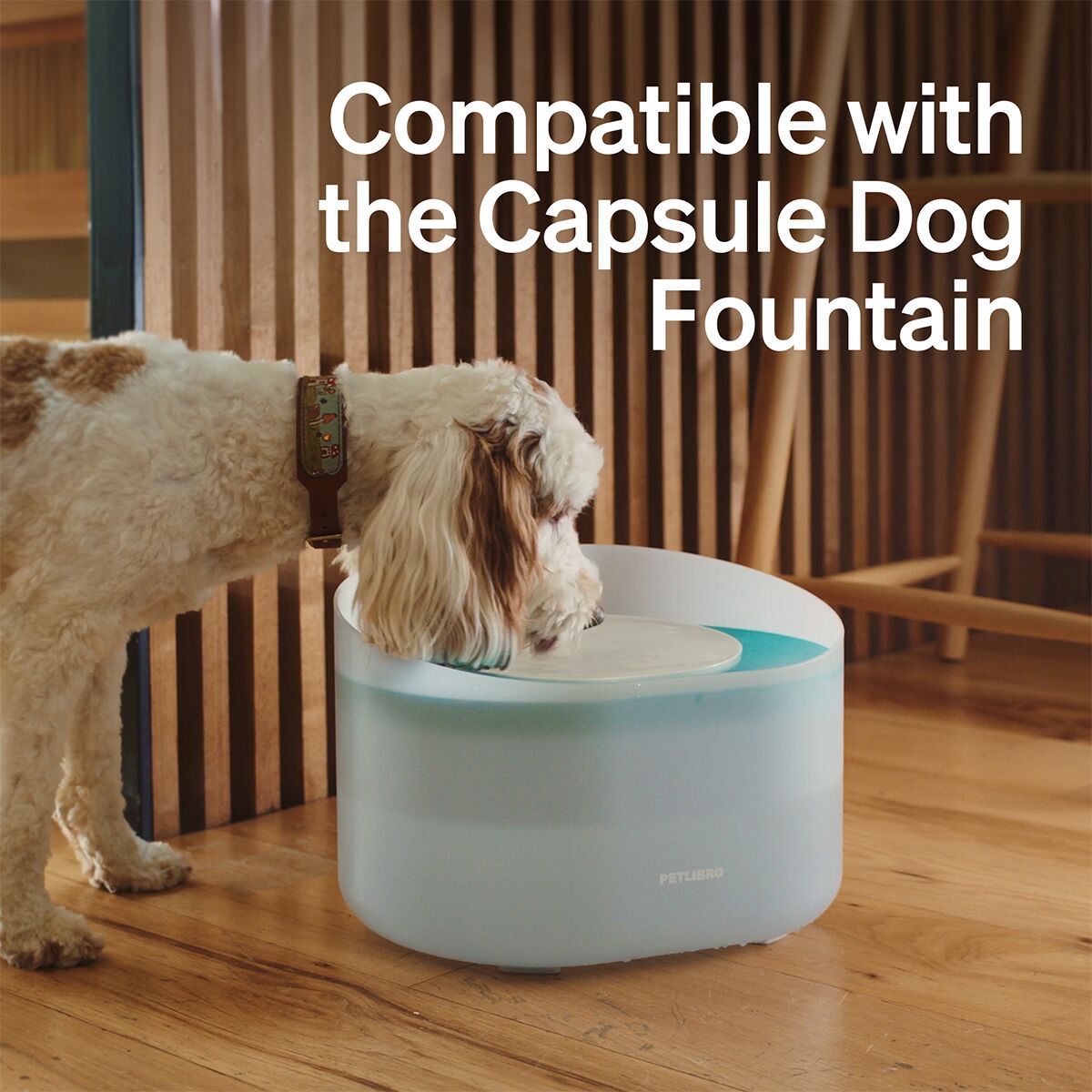 Petlibro Filters For Capsule Dog Water Fountain