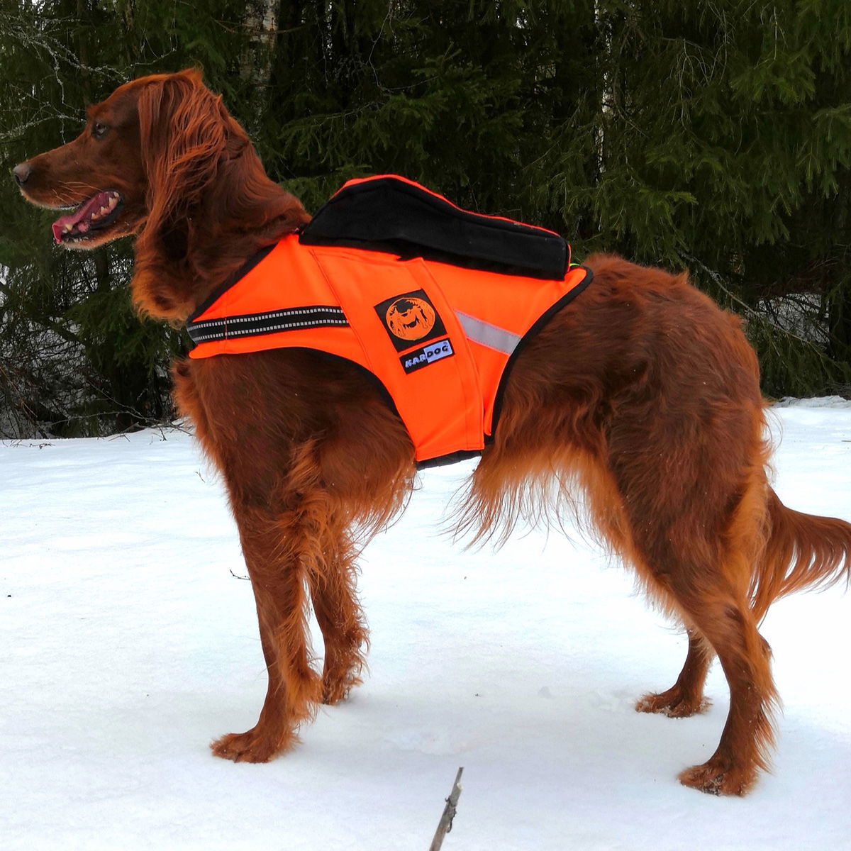 Kelluttava GPS-liivi Jehu, Kardog 