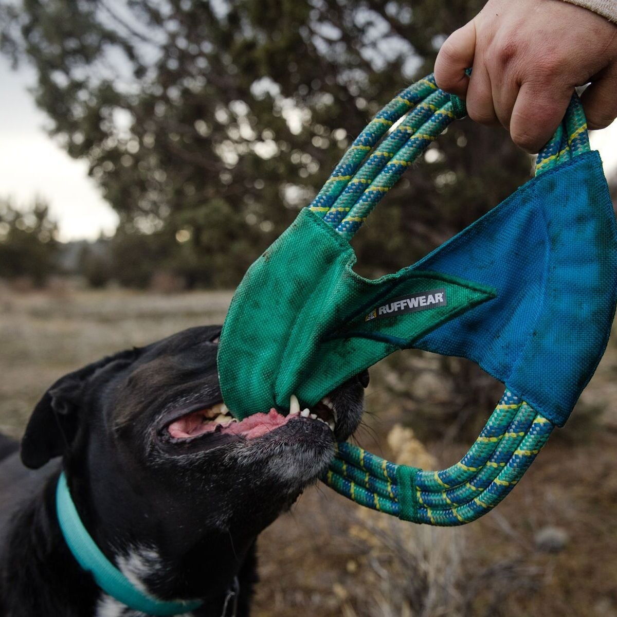 Ruffwear Pacific Ring Toy, Aurora Teal