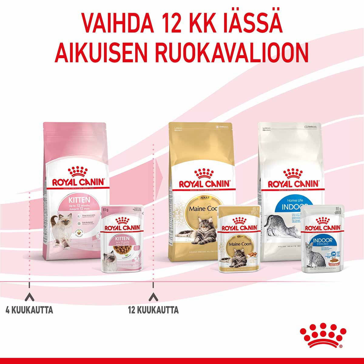 Royal Canin Kitten Gravy kissanpennun märkäruoka