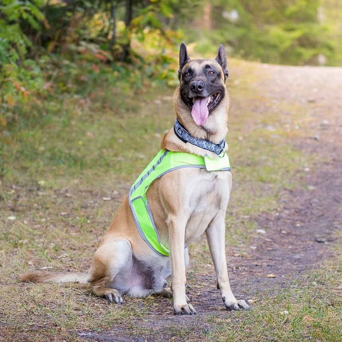 FinNero Atte huomioliivi, keltainen