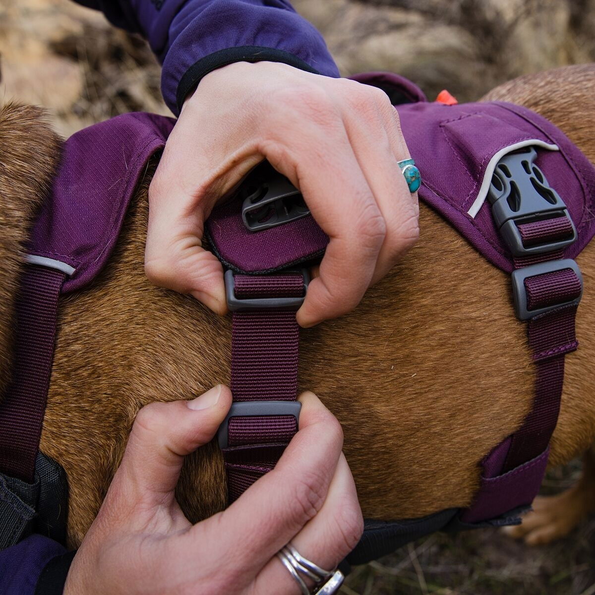 Ruffwear Web Master harness, Purple Rain
