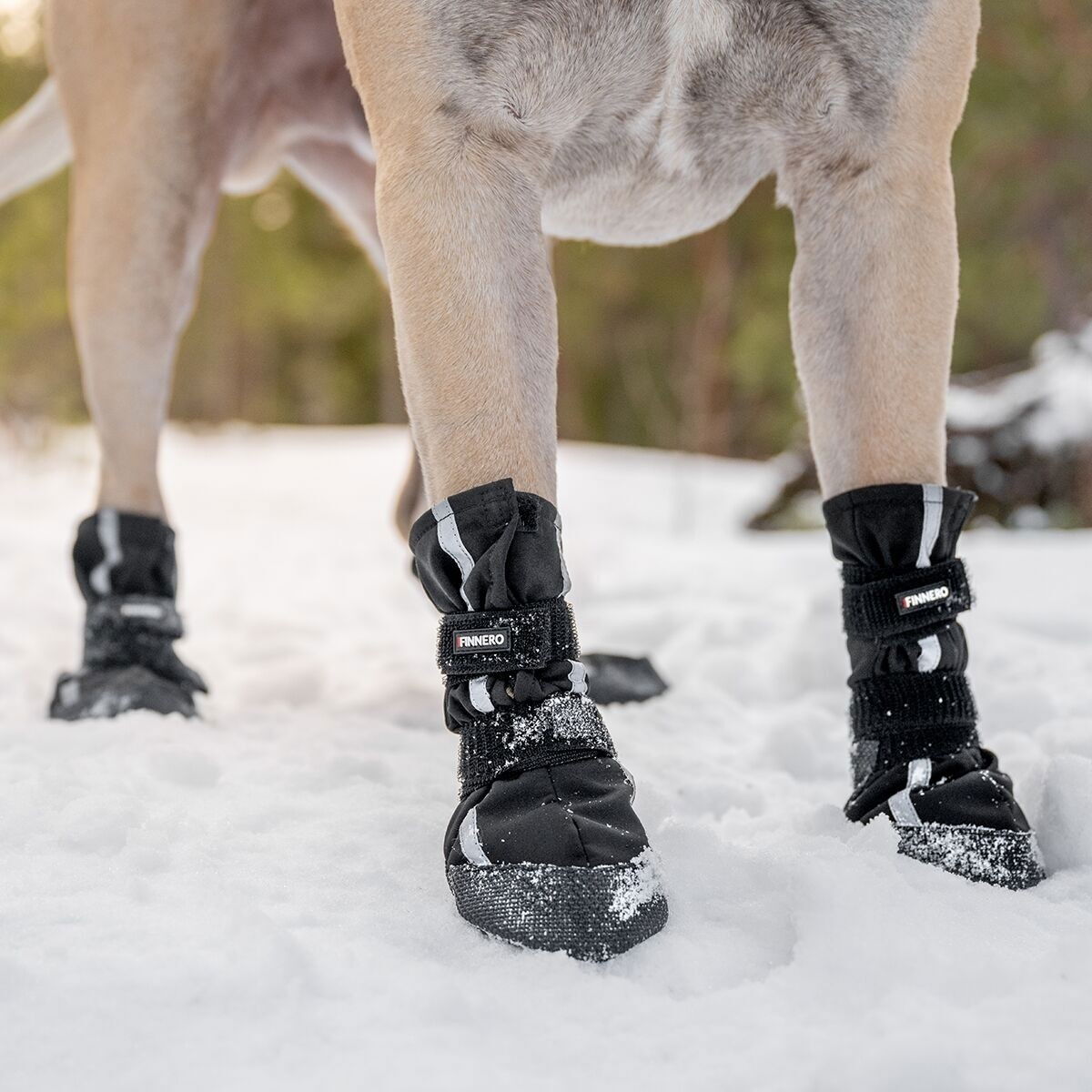 Finnero HALLA Softshell-tossut 4kpl, musta