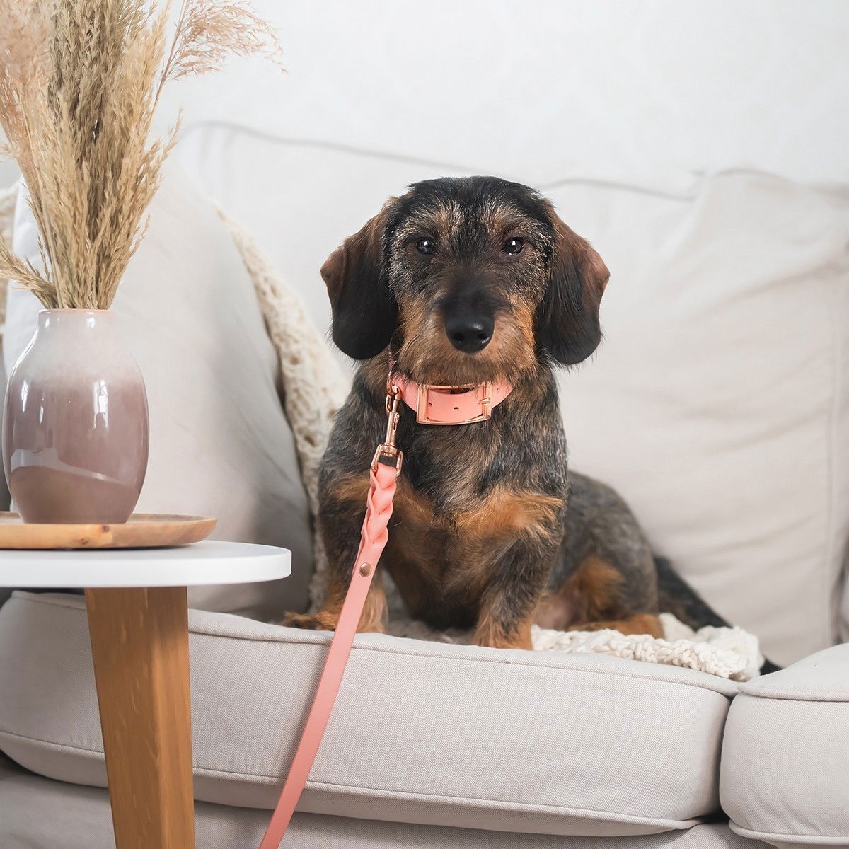 Tyylivoitto Braid talutin, persikka/ruusukulta