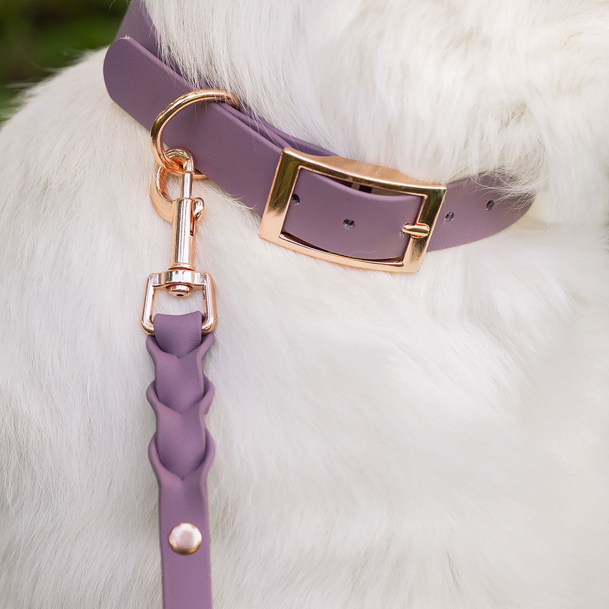 Tyylivoitto Braid leash, mauve