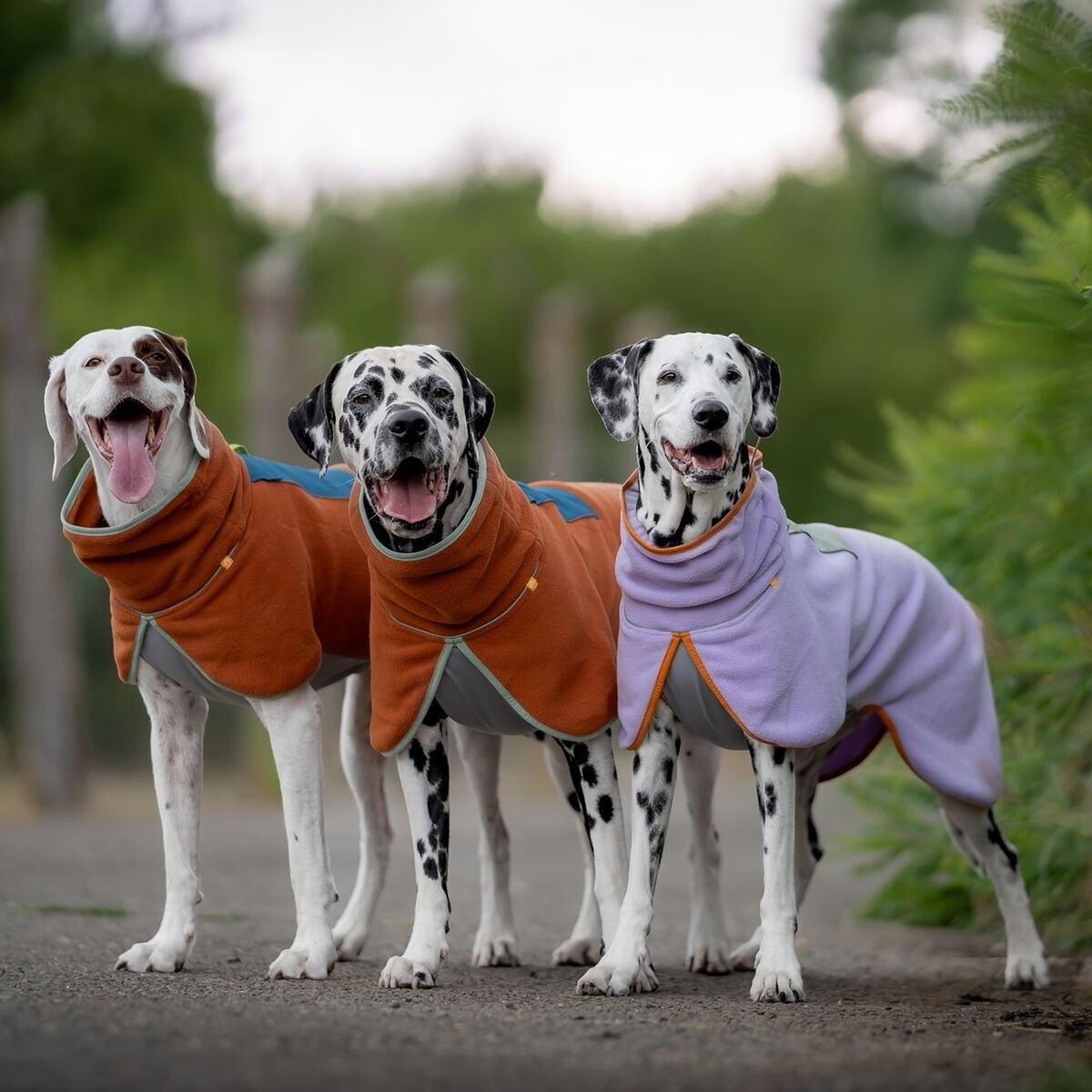 Woolly Wolf Alpha 360 Fleece pullover, Terracotta Mix