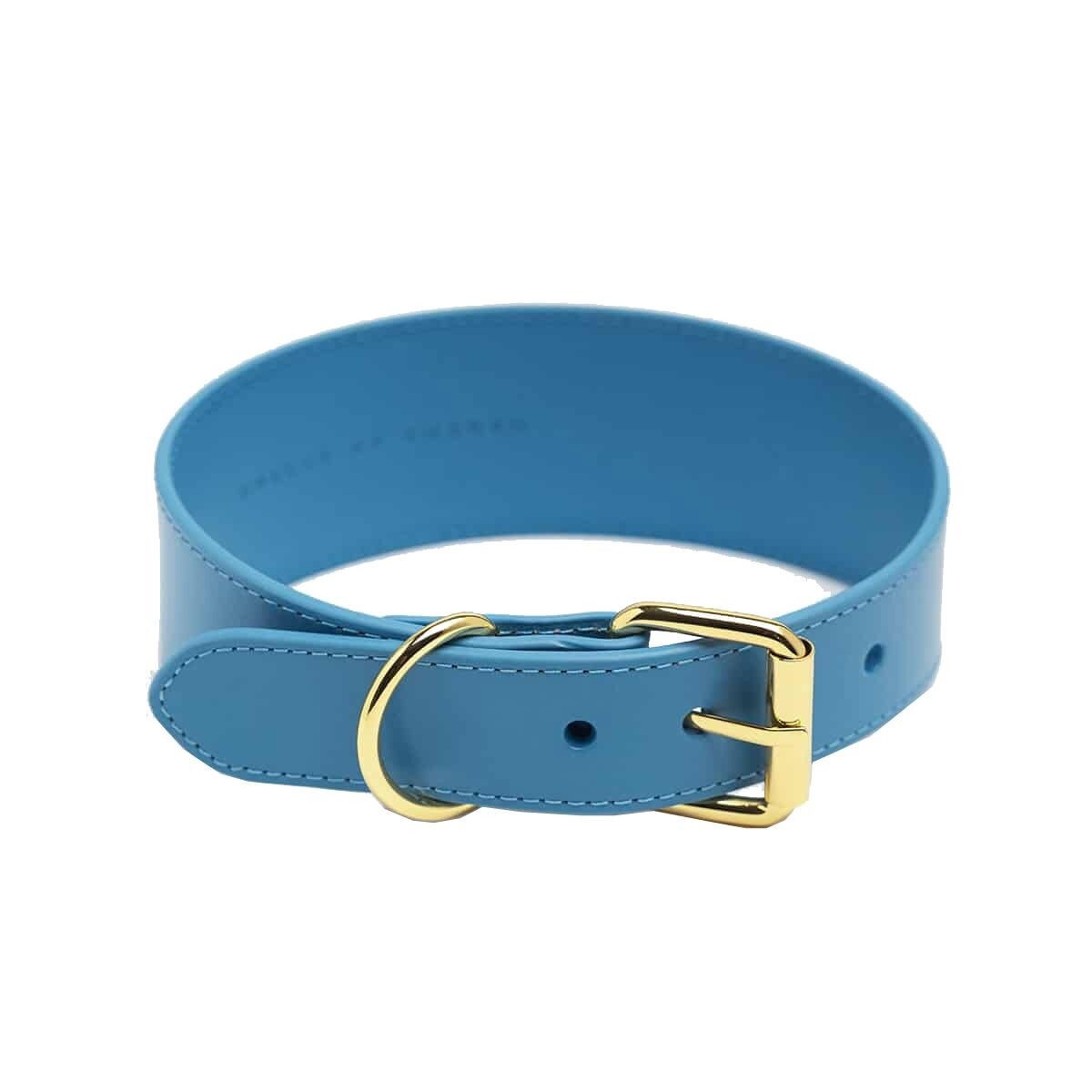 Collar of Sweden collar wide neon blue