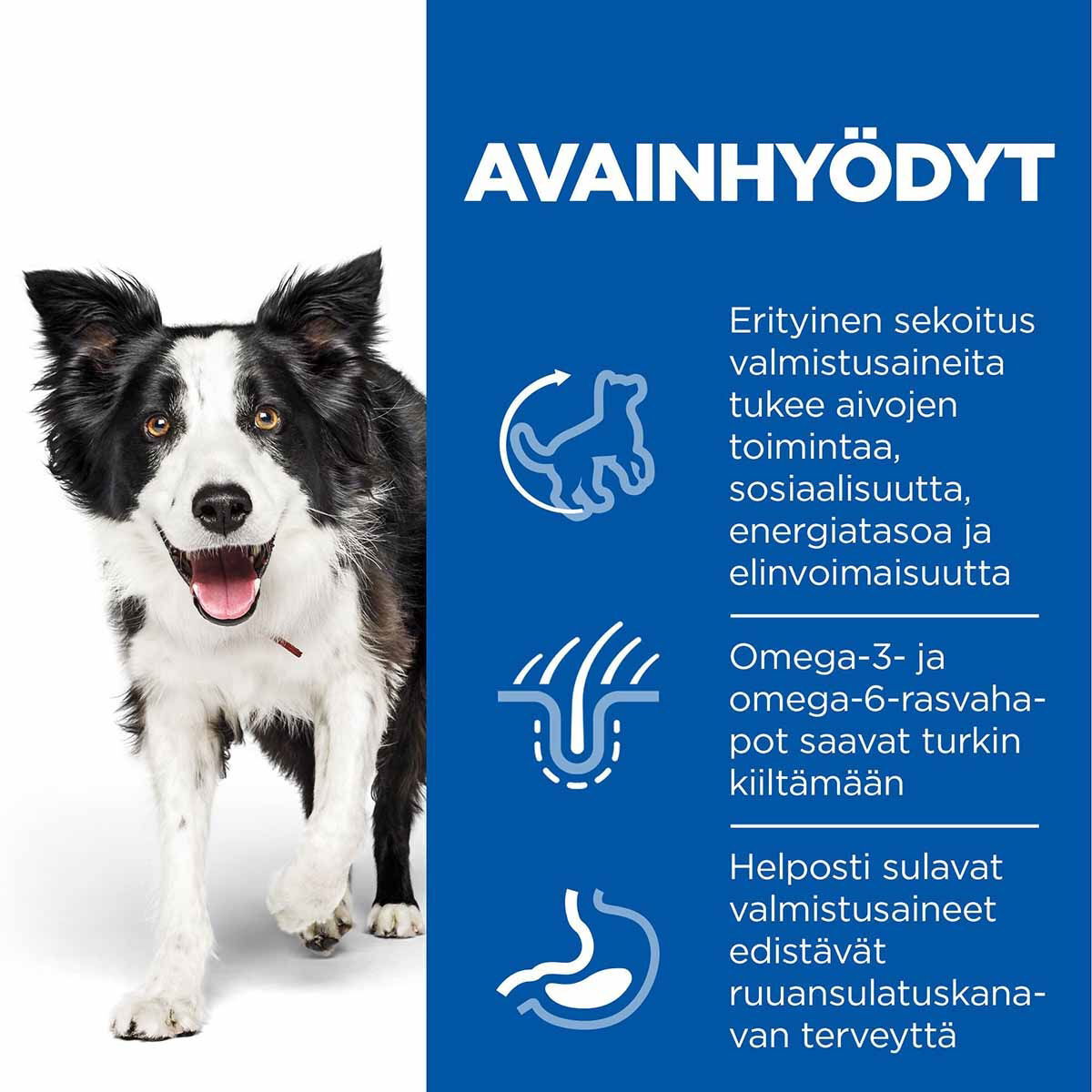 Hill's Science Plan Dog  Senior Vitality Medium