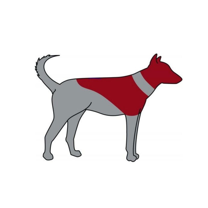 TR Puhallettava kauluri XXS