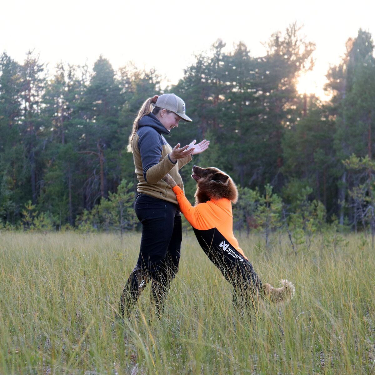 Non-stop dogwear Protector puku M oranssi/musta