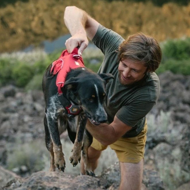 Ruffwear Webmaster valjaat, harmaa