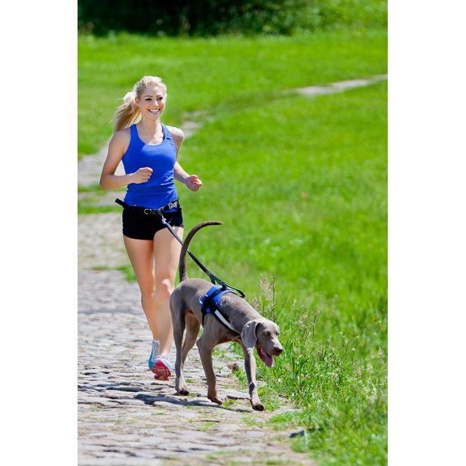 Pro Dog Handsfree setti sis. talutusvyö+talutin