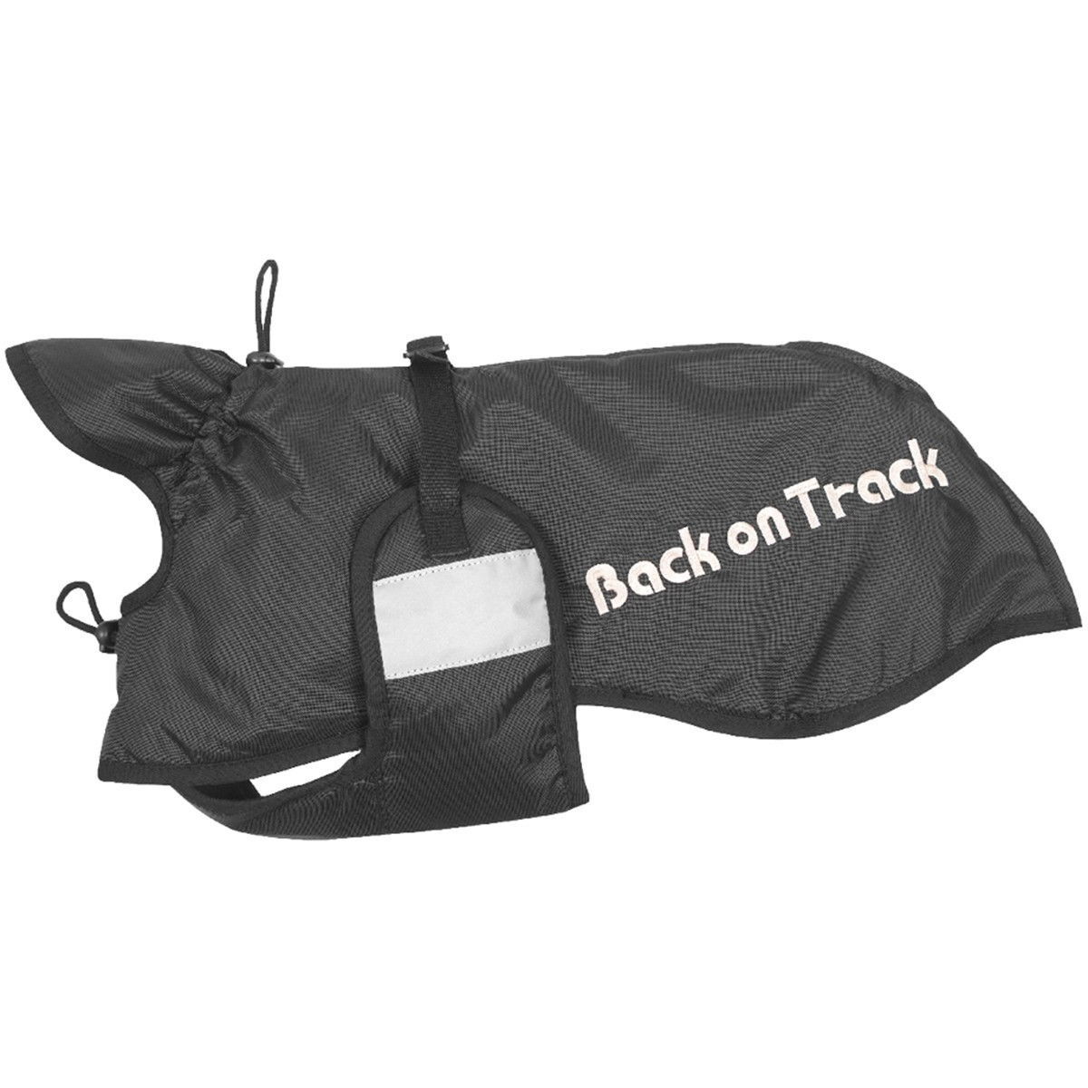 Koiranloimi Back on Track