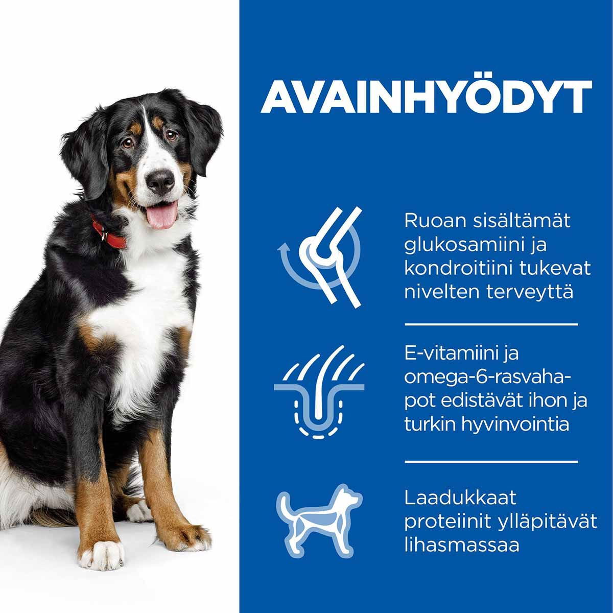 Hills Science Plan Canine Adult LB Chicken