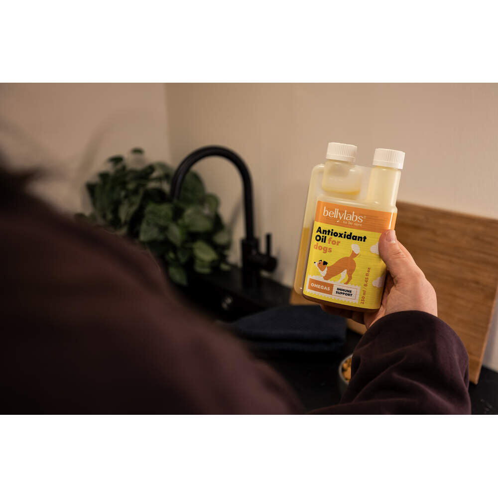 Bellylabs Antioxidantti öljy 250 ml