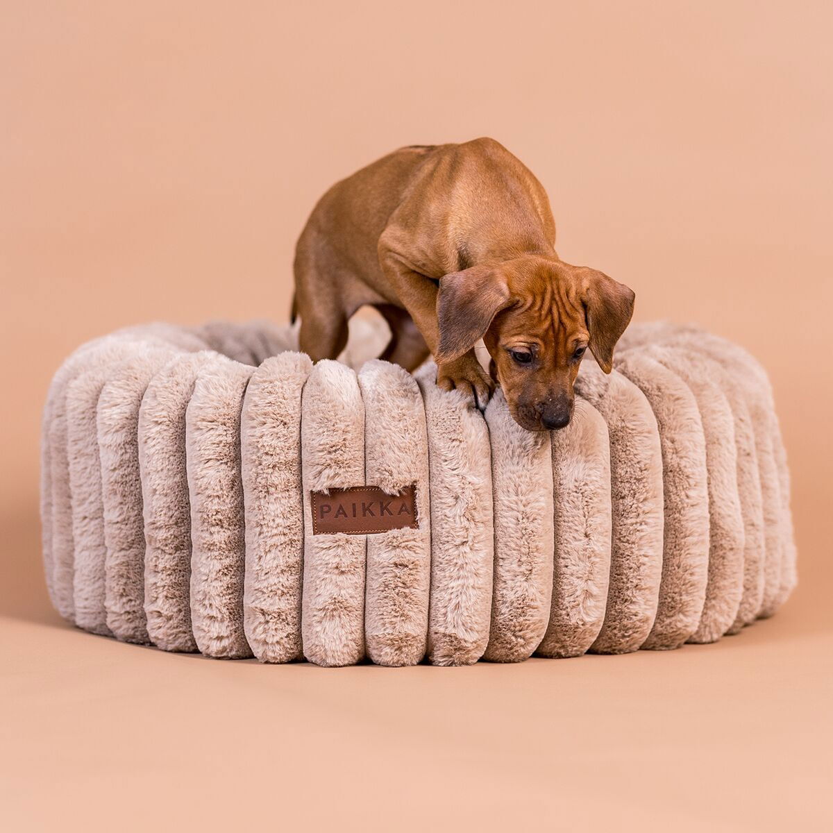 Orthopedic dog bed PAIKKA Round 