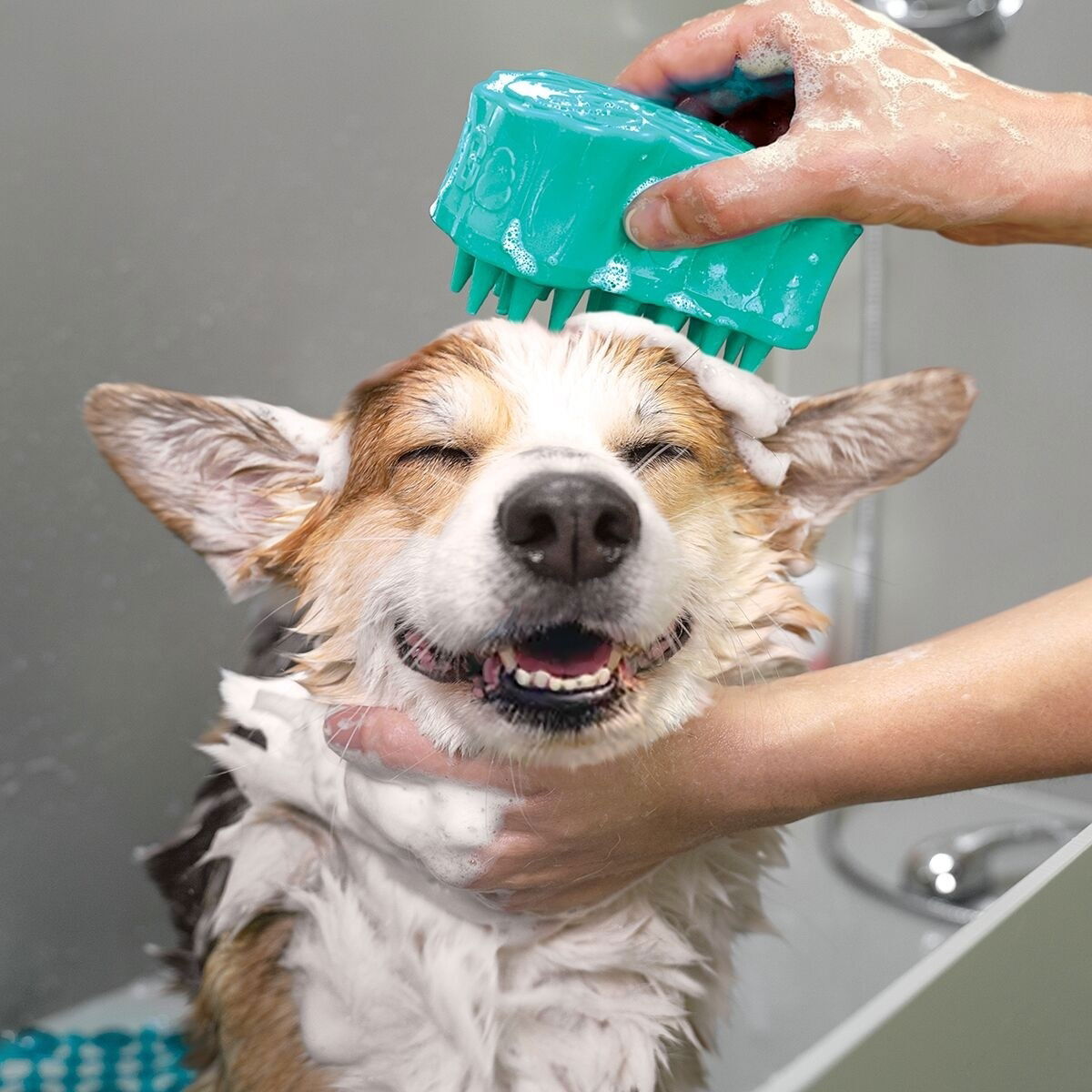 KONG ZoomGroom Bubbles pesuharja L