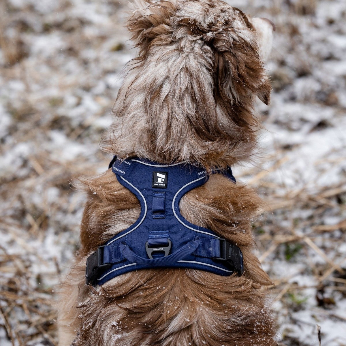 Feel Active Training valjas sininen