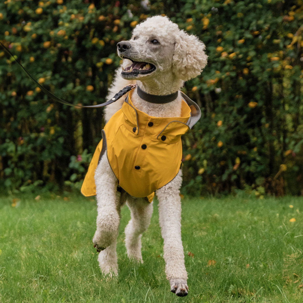 Rukka Stream sadetakki keltainen