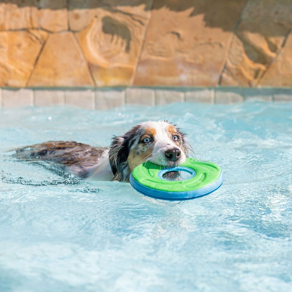 Chuckit Zipflight - pehmeä heittorengas