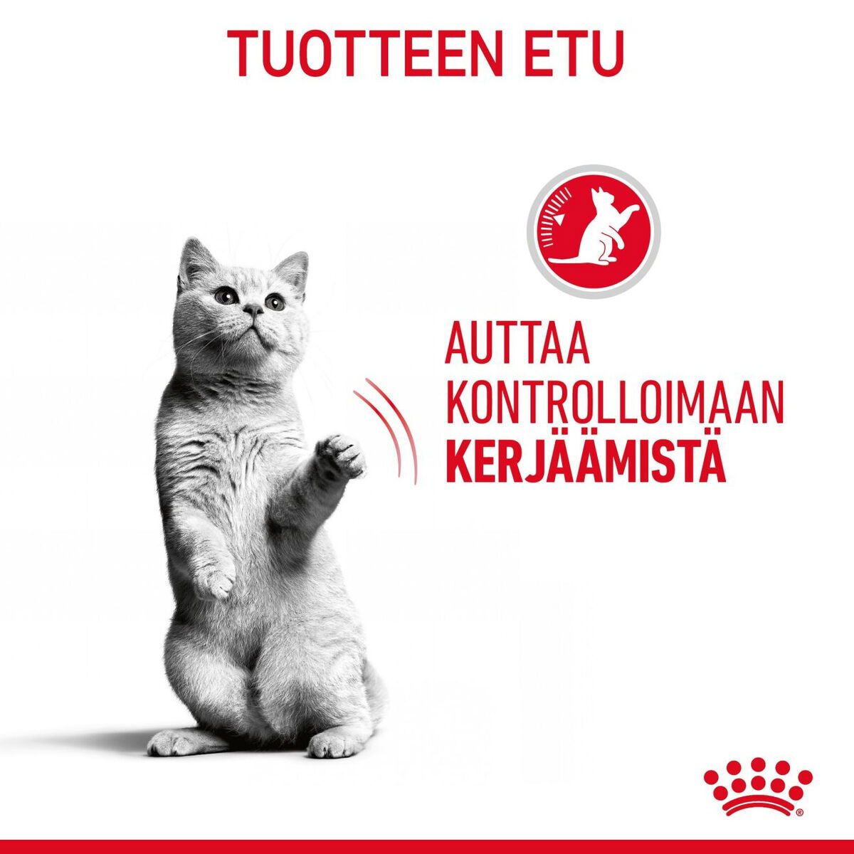 Royal Canin Appetite Control Care kissan märkäruoka kastikkeessa
