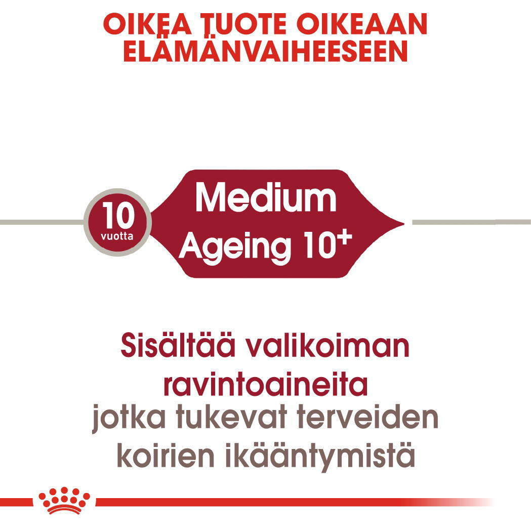 Royal Canin Medium Ageing 10+ koiran kuivaruoka