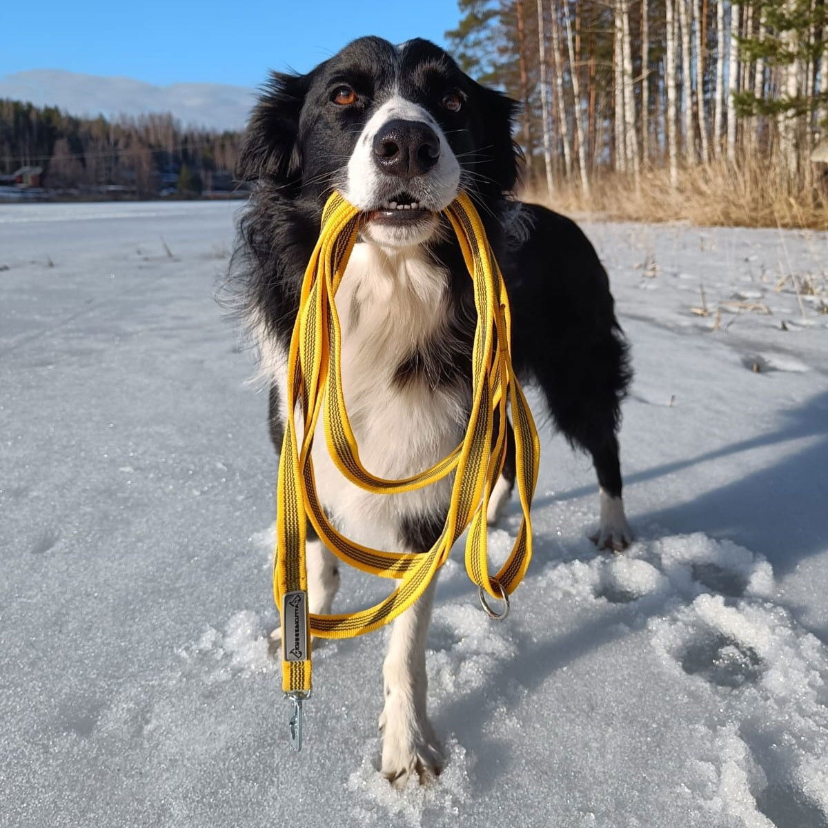 Kusse&Kutta grip leash BGB, 300cm