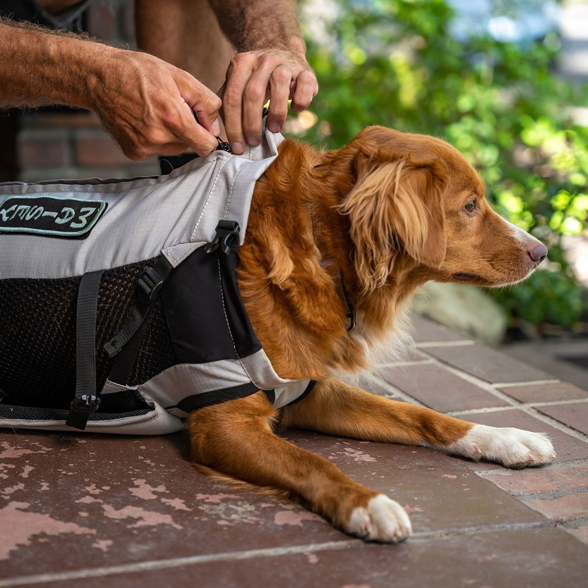 K9 Sport Sack Knavigate kantoreppu vaalean harmaa