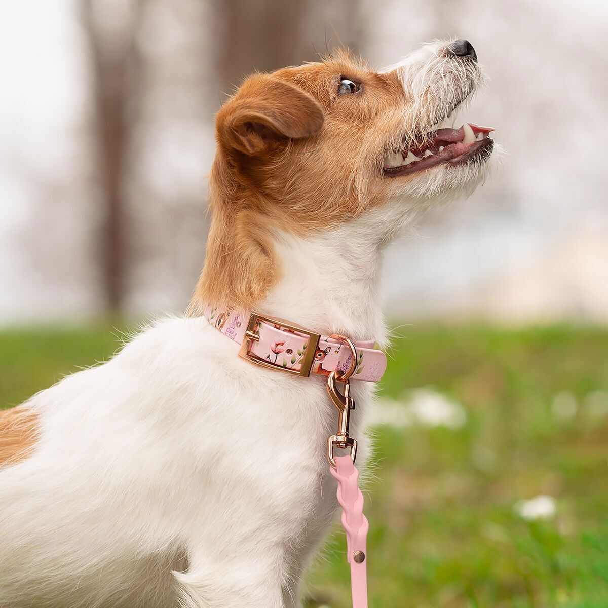 Tyylivoitto Braid leash, baby pink