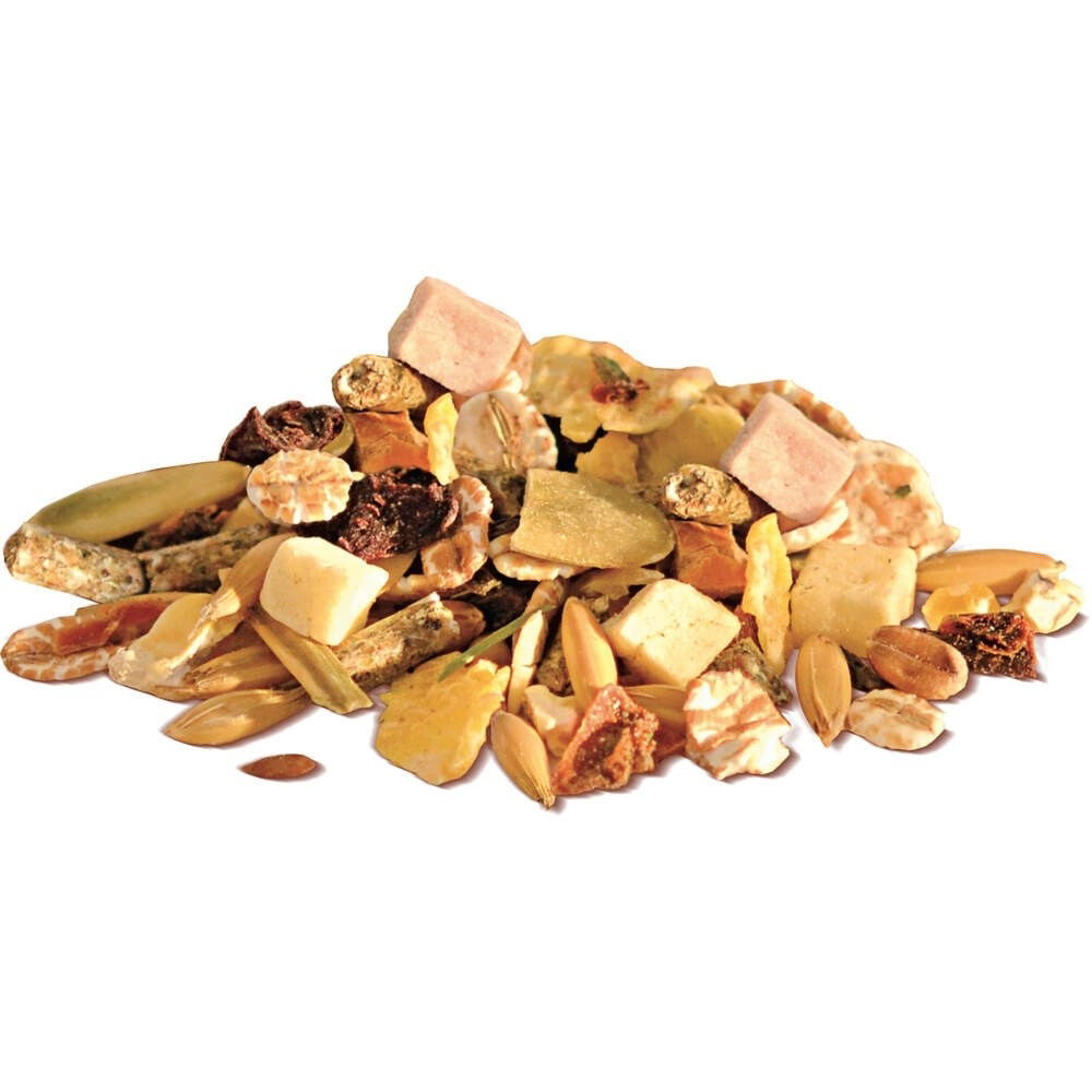 Bunny RatDream Basic