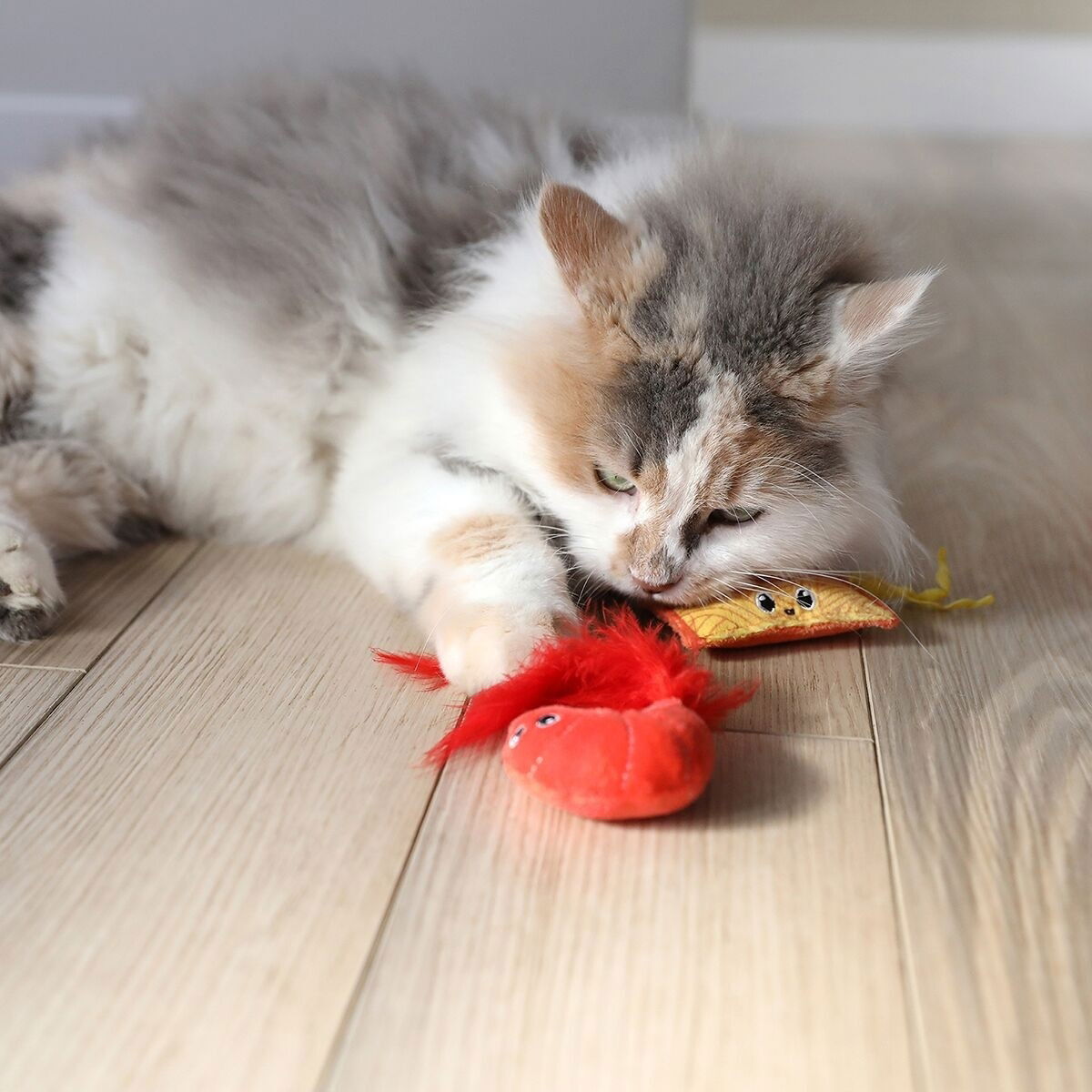 Quirky Kitty RAMEN 2PK 