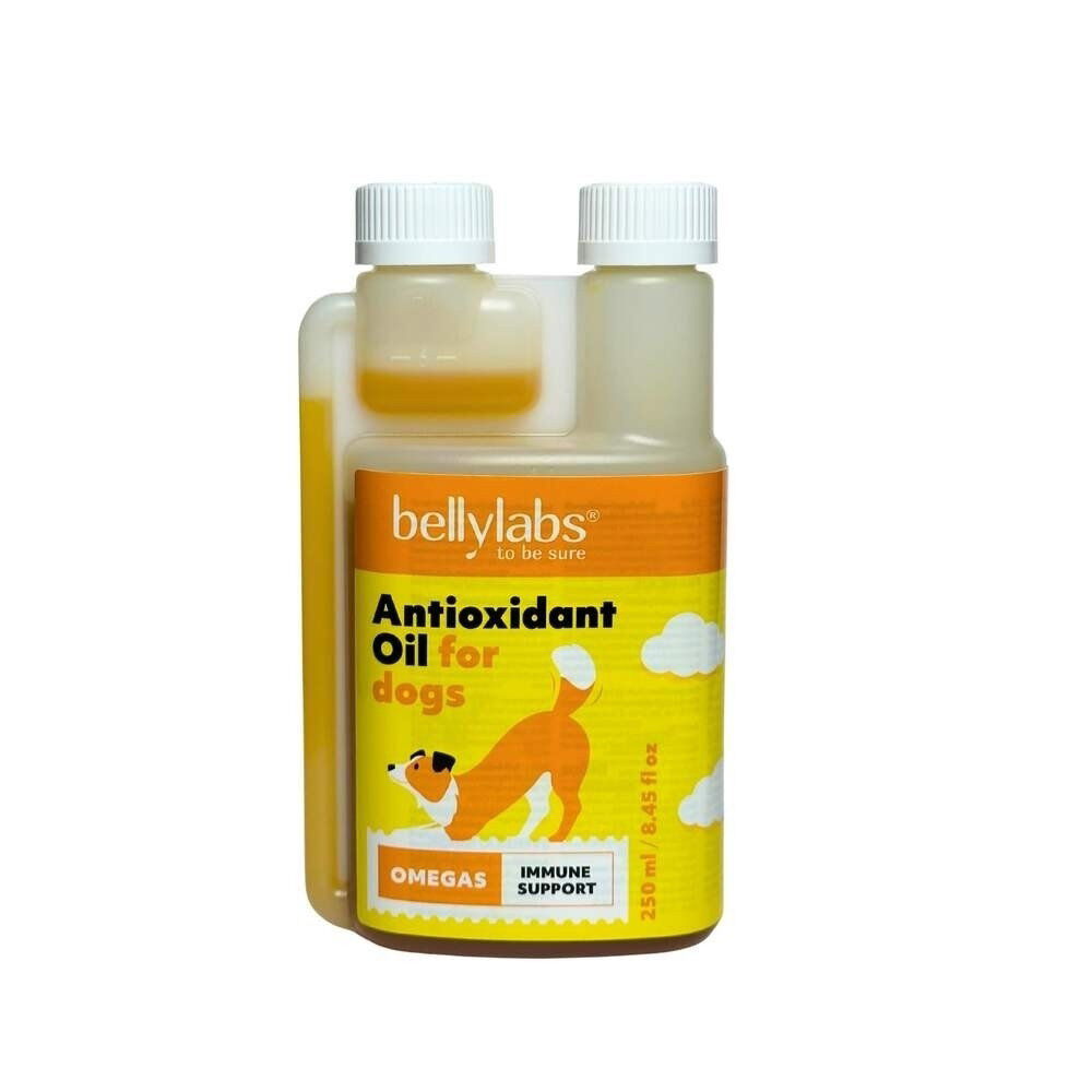 Bellylabs Antioxidantti öljy 250 ml