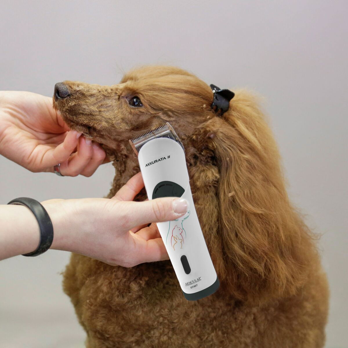 Aesculap Cordless Clipper Akkurata II