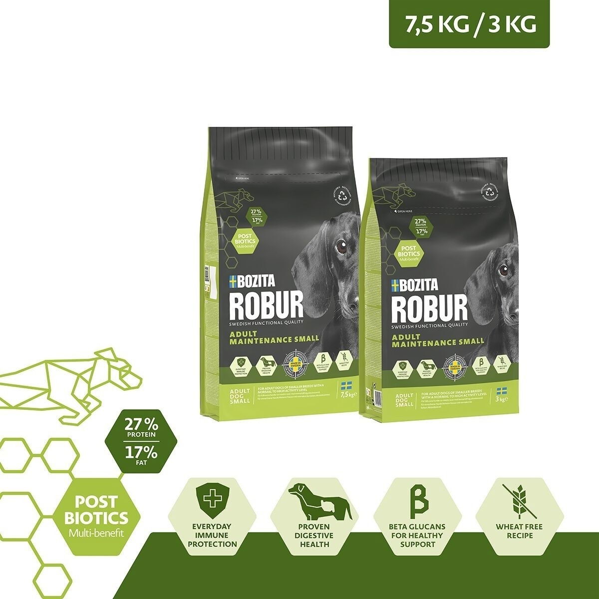 Robur Adult Maintenance Mini