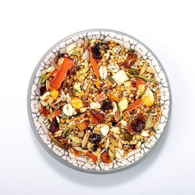 Bunny HamsterDream Expert Vegetable