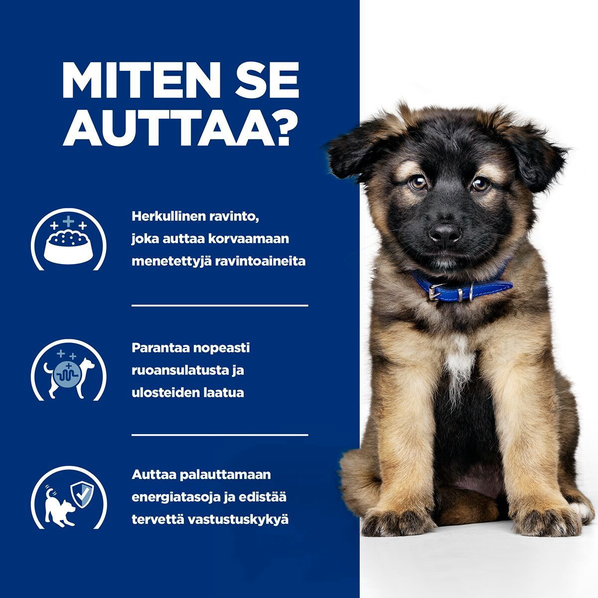 Hill's Prescription Diet Puppy i/d wet