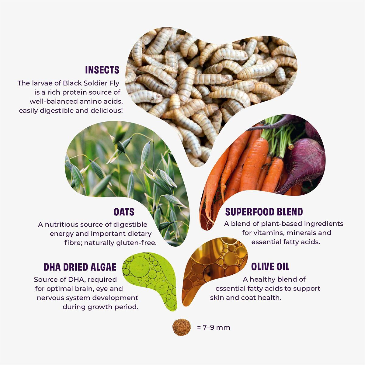 Petgood insect-dog food, pup, junior, nursing dogs