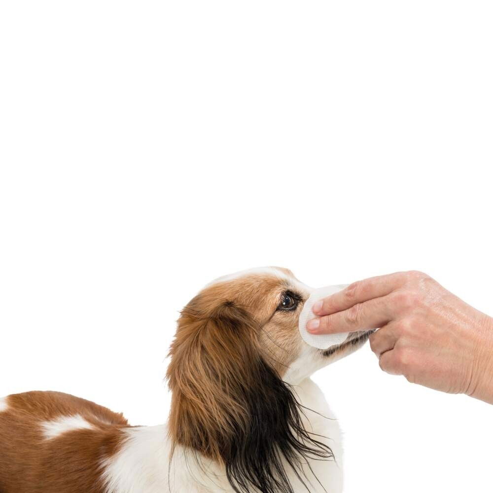 Trixie Ögonservett med Aloe Vera