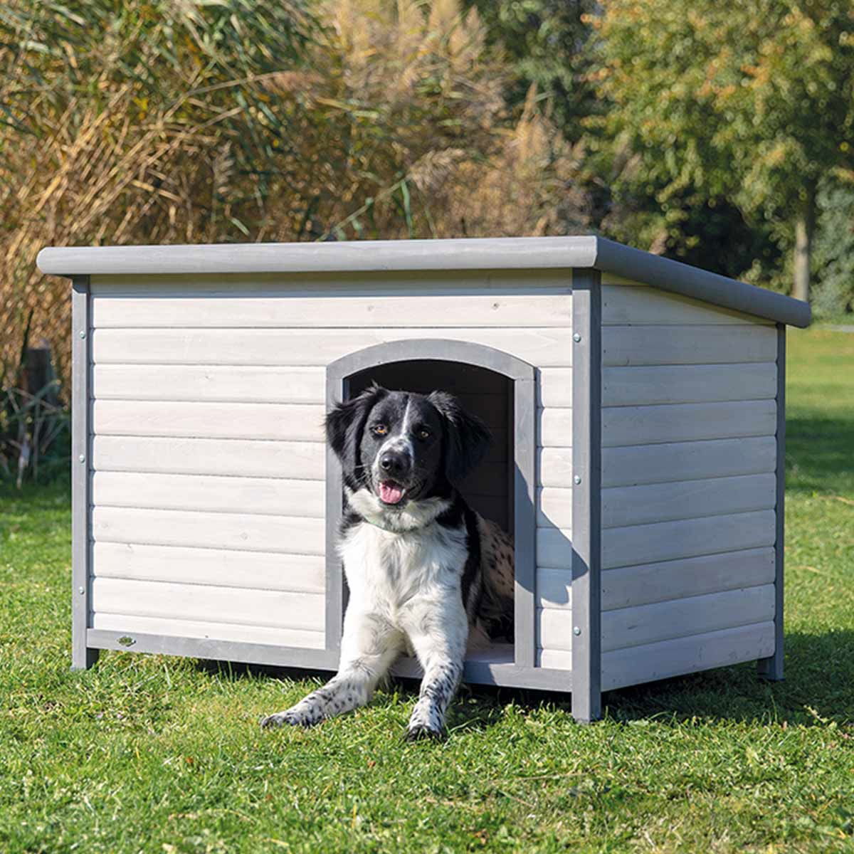 Koirankoppi tasakatolla Trixie