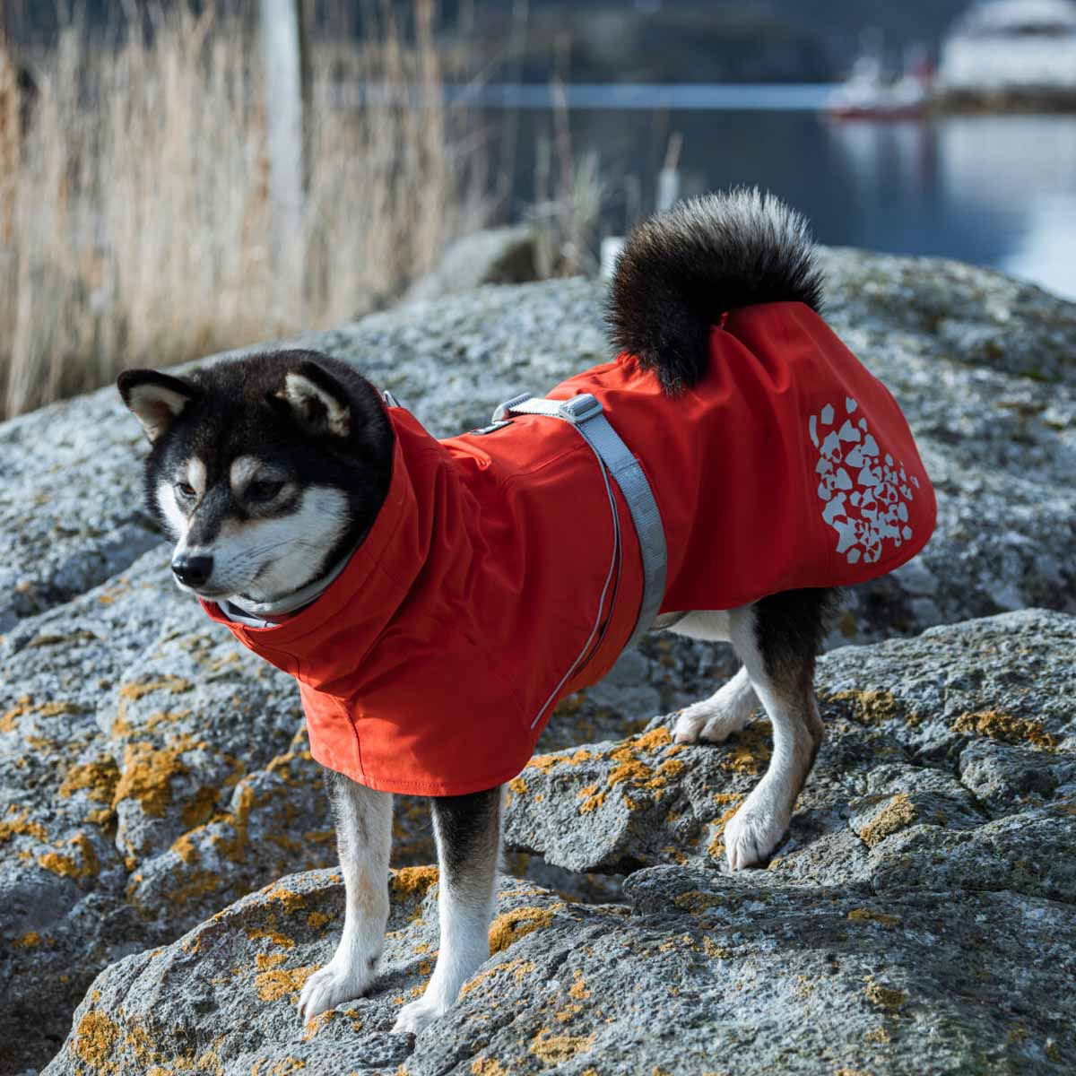 Hurtta Monsoon ECO sadetakki ruusunmarja