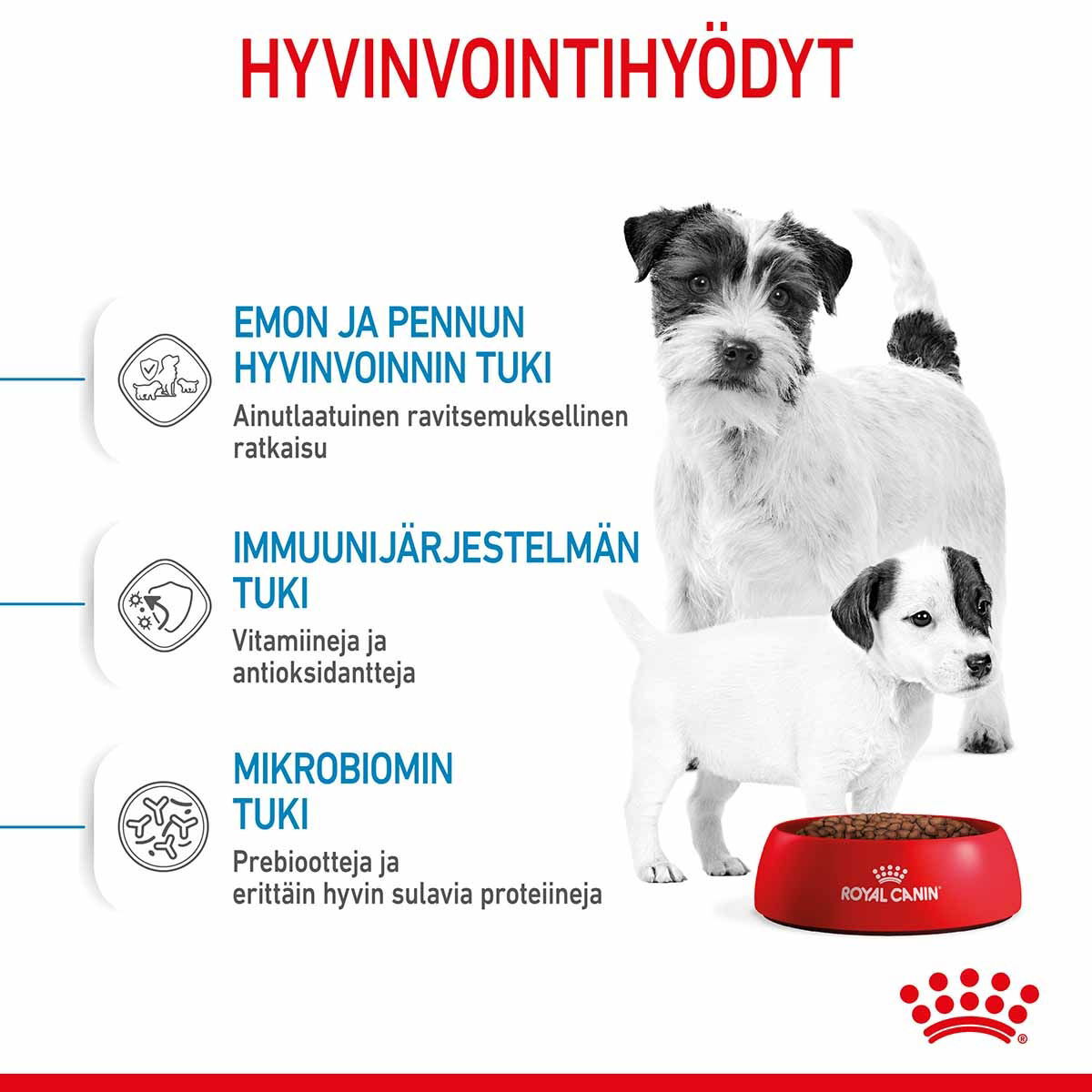 Royal Canin Mini Starter
