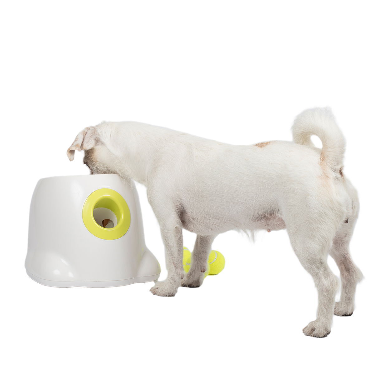 All For Paws Hyper Fetch Mini pallonheittäjä