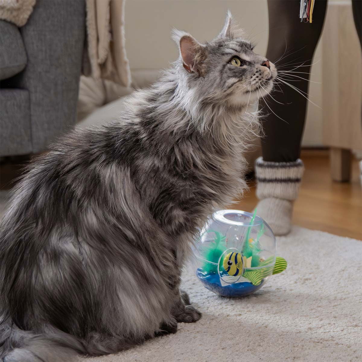 KONG Bat-A-Bout Glow Aquarium