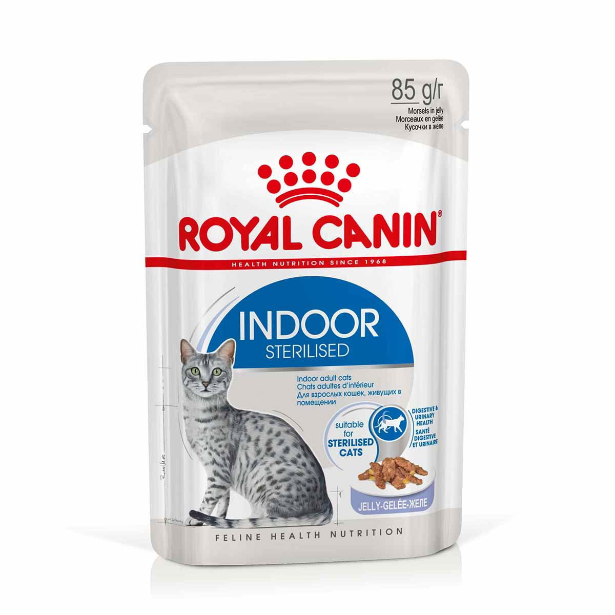 Royal Canin Indoor Sterilised Jelly Adult kissan märkäruoka